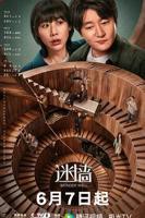 迷墙电视剧免费观看全集高清